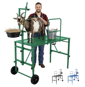 Goat Stand with Adjustable Headpiece & Legs, Goat Milking Stand with Feeder, Rails & Wheels, Stanchion for Grooming & Hoof Trimming, Sheep Stand for Shearing Heavy-Duty Steel Platform, Green