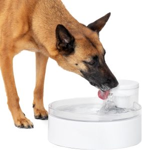PetSafe Outlast Pumpless Dog Water Fountain 128 oz – Indoor Water Dispenser for Dogs and Multiple Cats – Dishwasher Safe, Easy Assembly and Cleaning, Water Filter Included