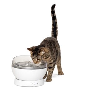 PetSafe HydroSphere 60 oz Cordless Cat & Dog Fountain, White