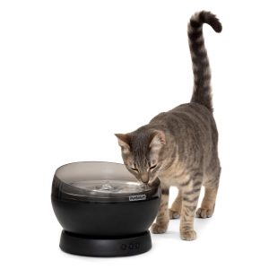 PetSafe HydroSphere 60 oz Cordless Cat & Dog Fountain, Black