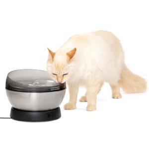 PetSafe HydroSphere 60 oz Stainless Steel Cat & Dog Fountain